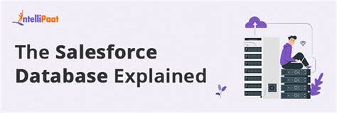 salesforce database class|The Salesforce Database Explained .